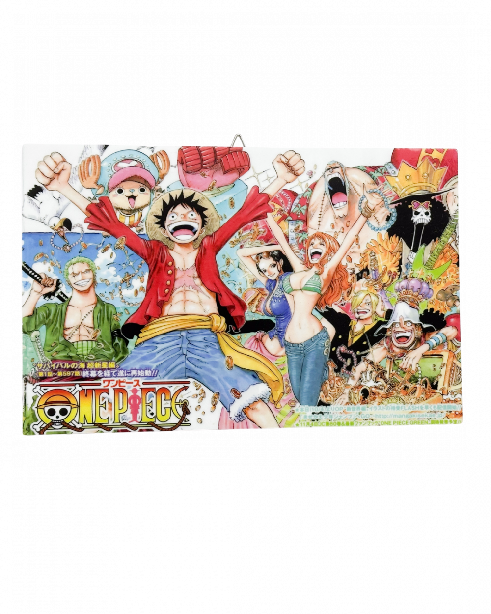 Quadretto in Plexiglss - OnePiece (Gruppo)